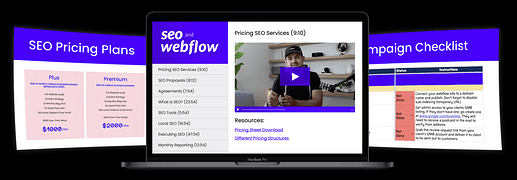 The Ultimate SEO Training Course For Webflow :beginner: