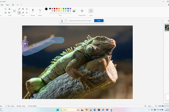 image