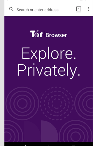 how to use the tor browser on android how to use the tor browser on android