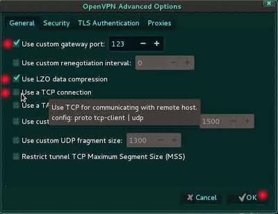 Настройка vpn kali linux