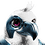 1nbr1